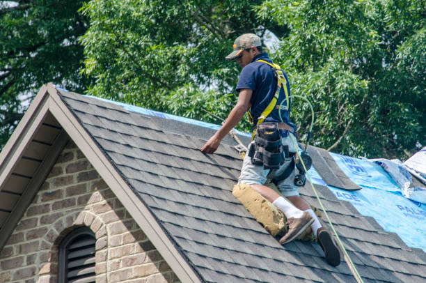 Best Commercial Roof Installation  in Lesslie, SC